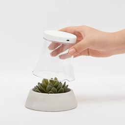 好的設(shè)計(jì)無(wú)關(guān)價(jià)格 從名創(chuàng)優(yōu)品聯(lián)名廣美畢設(shè)看大眾美學(xué)的破圈之路